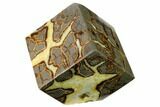 Wide, Polished Septarian Cube - Utah #169527-1